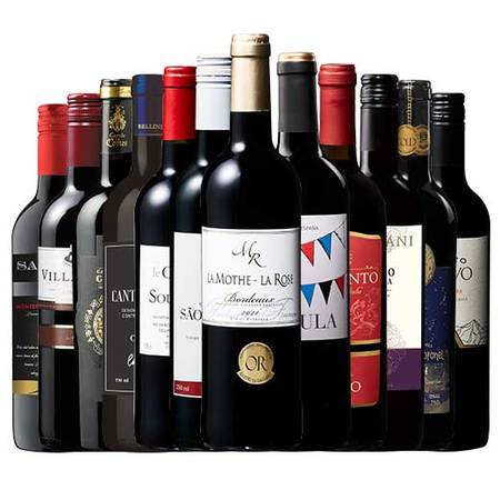 【特別送料無料】３大銘醸地入り！世界選りすぐり赤ワイン１２本セット　第１９２弾