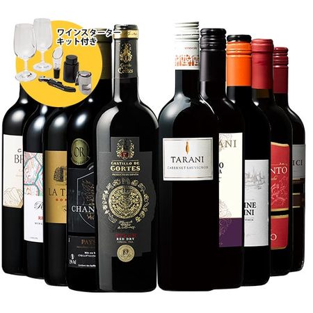 【特別送料無料】ワインスターターキット付３大銘醸地入り！世界選りすぐり赤ワイン１０本セット