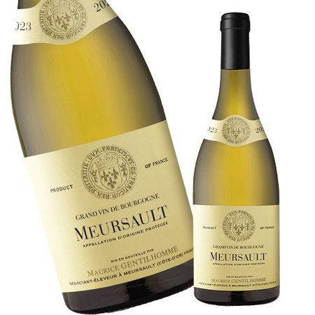 ムルソー・モーリス・ジャンティヨム’２３（ＡＣムルソー）（白・辛口）