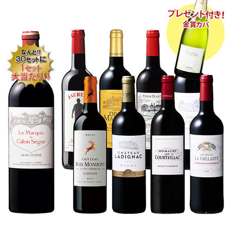 セカンドワイン当たるチャンス！ボルドー贅沢赤8本セット | ワイン