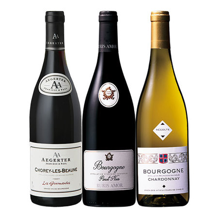 銘醸地ブルゴーニュ３本年間コース　第１０弾　【年１２回コース】