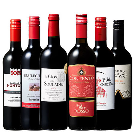 【特別送料無料】3大銘醸地入り！赤wineお試し6本セット