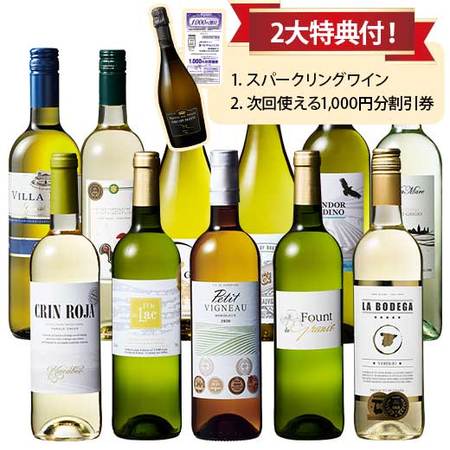 飲みごたえ満足！世界８ヵ国の辛口白ワイン１１本セット