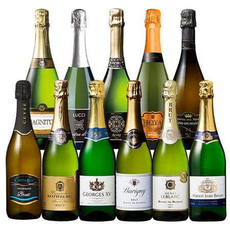 ３大銘醸地入り　世界選りすぐりスパークリングワイン１１本セット第２９弾