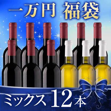 【一万円福袋】ミックス１２本