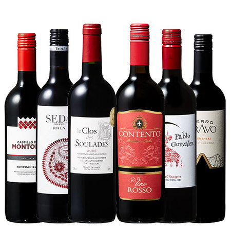 【特別送料無料】3大銘醸地入り！赤wineお試し6本セット　第6弾