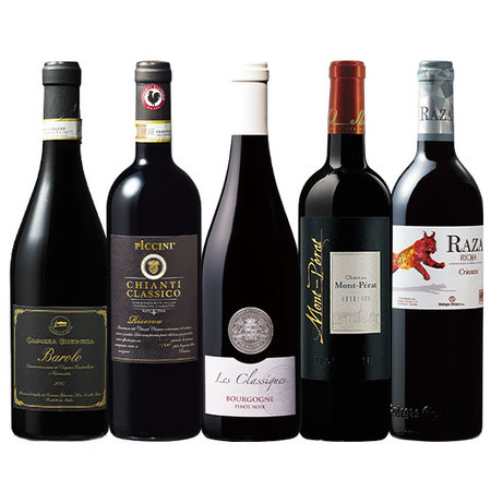 3大銘醸国から厳選　有名5産地格上赤ワイン５本セット