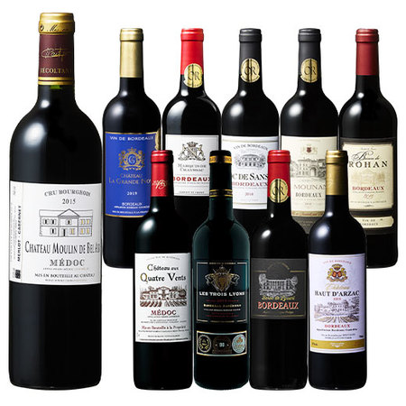 【６２％OFF】クリュ・ブルジョワ入り！ボルドーグレートヴィンテージ飲み比べ赤ワイン１０本セット