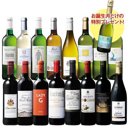 【プレゼントワイン付】【まとめ買いでお得！】フランス赤白ワイン16本セット