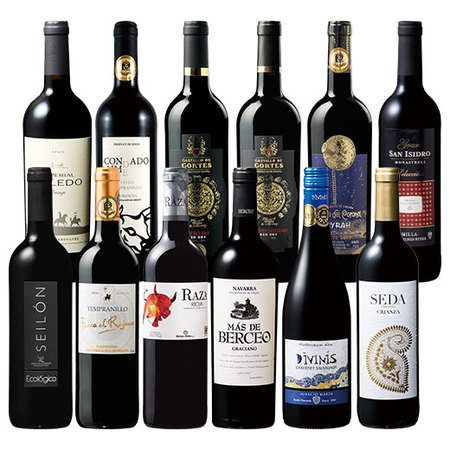 スペイン各地を堪能！スペイン周遊濃厚赤１２本セット　第２弾