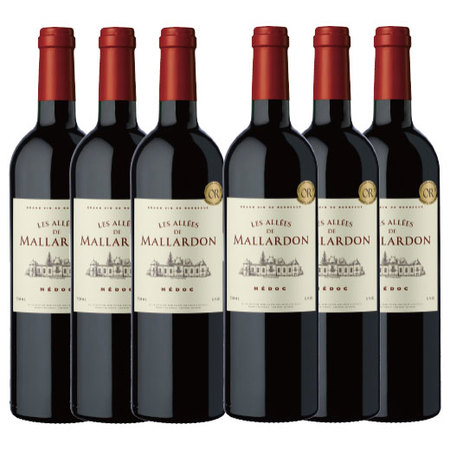 メドック赤ワイン１種６本セット