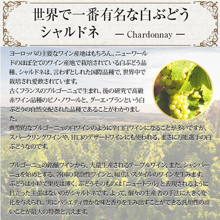 17年連続ワイン通販国内売上高No.1記念企画！シャブリ5本セット第9弾