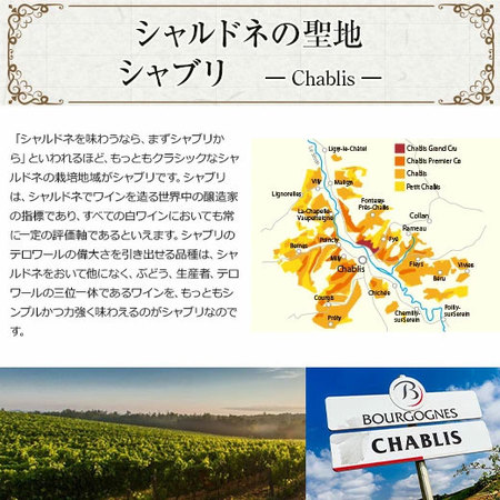 17年連続ワイン通販国内売上高No.1記念企画！シャブリ5本セット第9弾