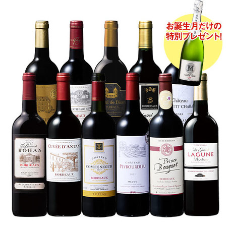 【プレセントワイン付】ボルドーお得赤ワイン１1本セット