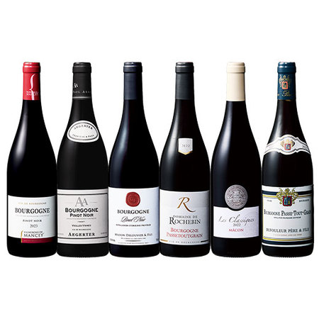 ブルゴーニュ地方満喫赤ワイン６本セット　第１２弾