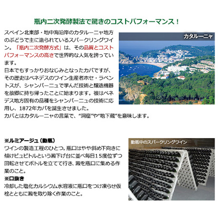 瓶内二次発酵製法カバ5本入り!!激旨スパークリングワイン12本セット第19弾