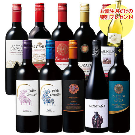 【プレセントワイン付】ばっチリ・スペシャル赤ワイン１０本セット