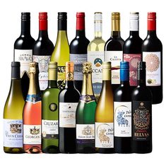 コスパ抜群！世界のデイリー赤・白・ロゼ・スパークリング１6本セット