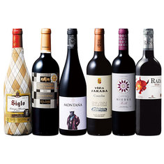 バイヤー厳選！今飲んでほしい！スペインハイクラス赤ワイン６本セット