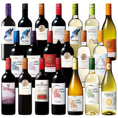 1本あたり５９８円！ボックス赤白ワイン２箱付ばっチリ赤白ワイン２０本満喫セット