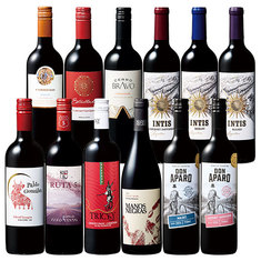 金賞・樽熟・高評価入り！南米2大銘醸国チリ＆アルゼンチン赤ワイン飲み比べ12本セット第2弾