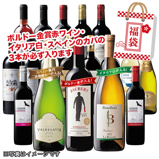 3大銘醸地入り!世界デイリーワイン赤白ロゼ泡18本福袋
