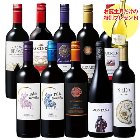 【プレセントワイン付】ばっチリ・スペシャル赤ワイン１０本セット