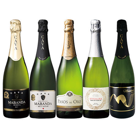 コスパ抜群カバ５種５本セット