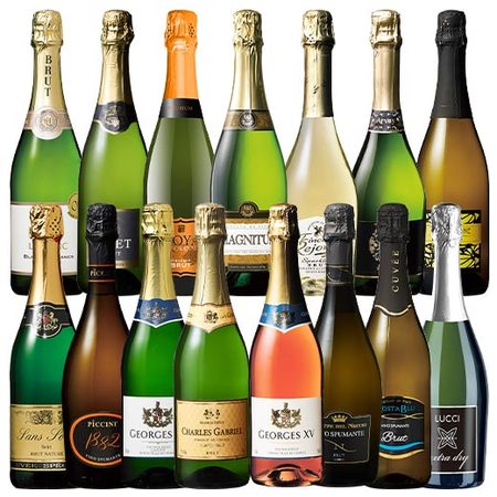 安くて旨い！大容量！世界スパークリングワイン１５本セット