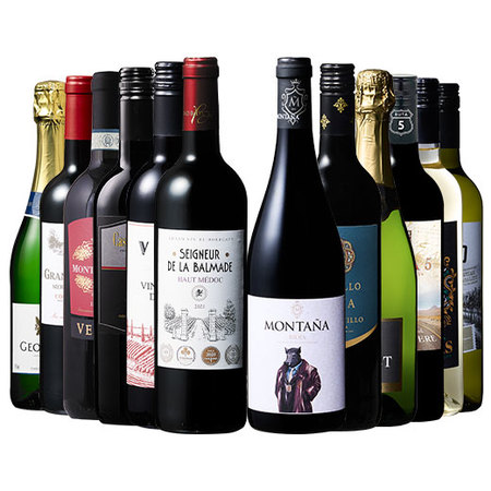 メドック金賞入り！すべて金賞！世界の赤・白・スパークリングワイン１２本セット