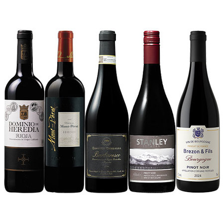 世界の有名５産地赤ワイン５本セット