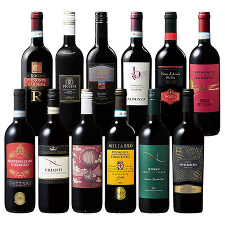 ワイン王国！イタリア赤ワイン飲み比べ12本セット