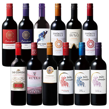 旨い・安い・ばっチリ赤ワイン12本飲み比べセット