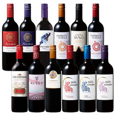 旨い・安い・ばっチリ赤ワイン12本飲み比べセット