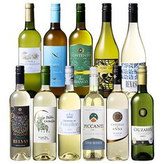 世界6ヵ国白ワイン１１本セット