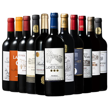 １級ムートン醸造責任者の秘蔵ワイン＆メドッククリュ・ブルジョワ入り！最強級赤１１本セット