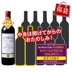 金賞受賞＆高評価のクリュ・ブルジョワが必ず入る！すべて金賞世界の赤ワイン福袋12本