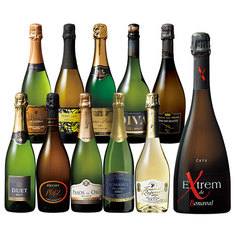 高級カバ＆金賞多数入り！世界銘醸6ヵ国スパークリング11本セット