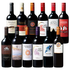 チリが誇る揺るぎない王道品種カベルネ・ソーヴィニヨン＆カルメネール飲み比べ１２本セット