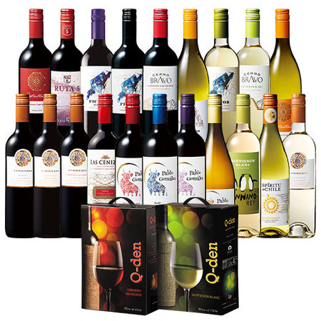 1本あたり５９８円！ボックス赤白ワイン２箱付ばっチリ赤白ワイン２０本満喫セット第２弾