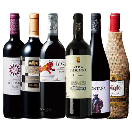 バイヤー厳選！今飲んでほしい！スペインハイクラス赤ワイン６本セット
