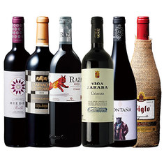 バイヤー厳選！今飲んでほしい！スペインハイクラス赤ワイン６本セット