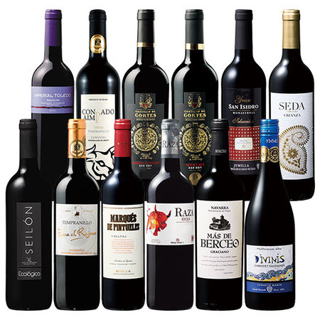 スペイン各地を堪能！スペイン周遊濃厚赤１２本セット　第４弾