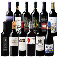 スペイン各地を堪能！スペイン周遊濃厚赤１２本セット　第４弾