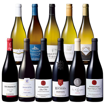 シャブリ＆ブルゴーニュ赤白ワイン満喫１１本セット
