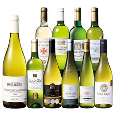 フランス各地を巡る！ブルゴーニュ＆ボルドー格上産地入り！フランス白ワイン１０本セット