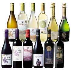 金賞総獲得数３５個！ばっチリスペシャル赤・白・スパークリングワイン飲み比べ１2本セット