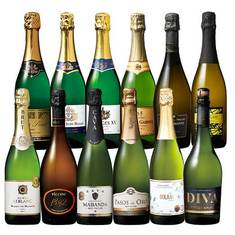 瓶内二次発酵カバ入り!!世界のスパークリングワイン12本セット