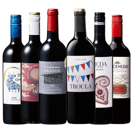 【特別送料無料】3大銘醸地入り！赤wineお試し6本セット　第10弾