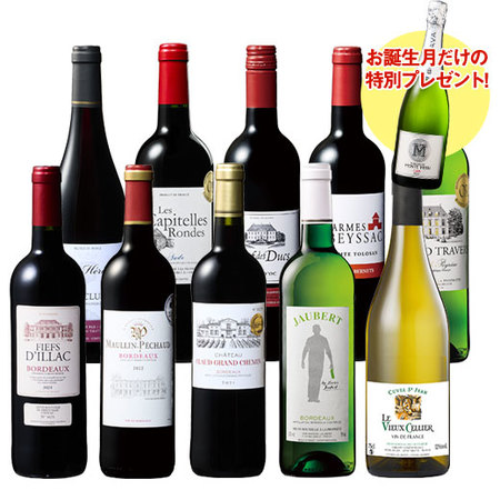 【プレセントワイン付】フランス金賞赤白ワイン１０本セット